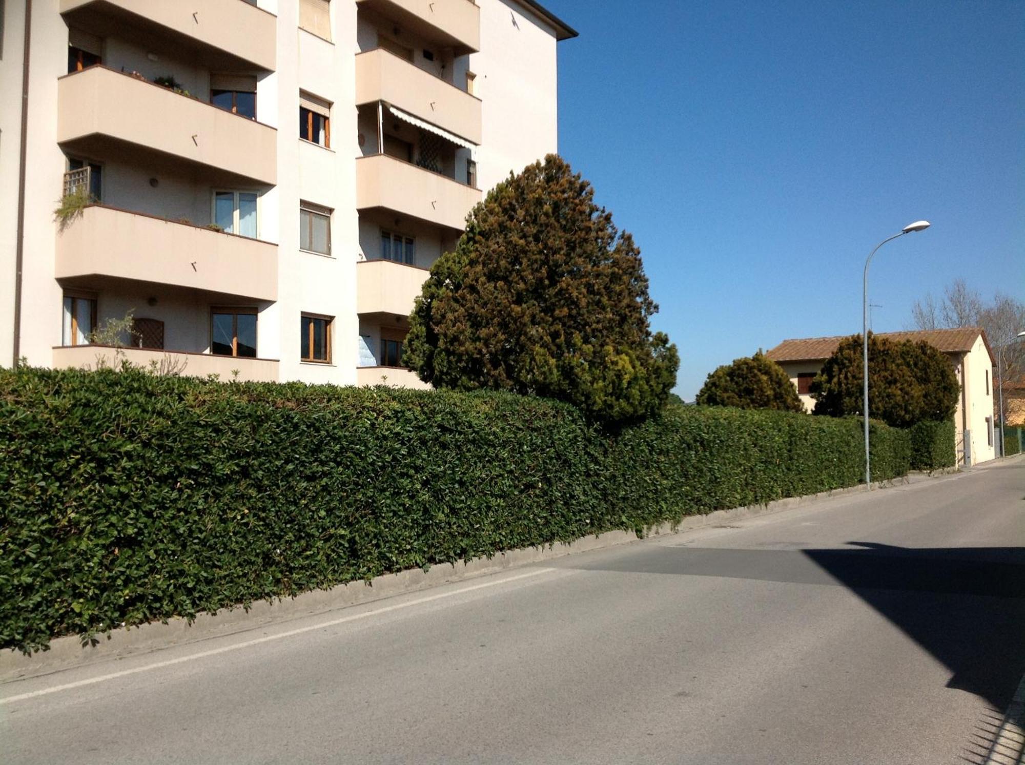 Hotel Cisanello House Pisa Esterno foto