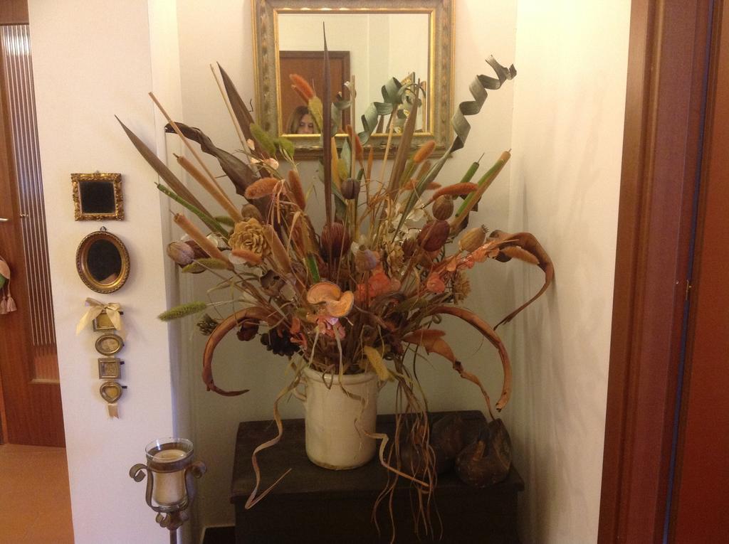 Hotel Cisanello House Pisa Esterno foto